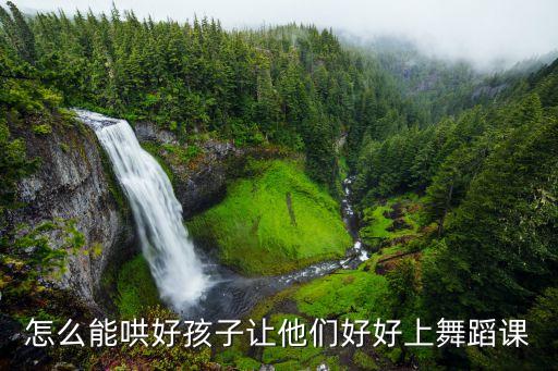 嗯小孩子学跳舞怎么办，我家宝宝两岁很喜欢跳舞请教我现在该怎样引导