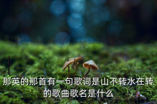山不转路在转是什么歌，歌词中有山不转哪水在转是什么歌