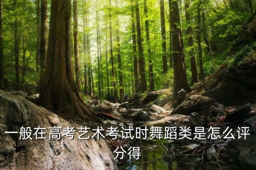 一般在高考艺术考试时舞蹈类是怎么评分得