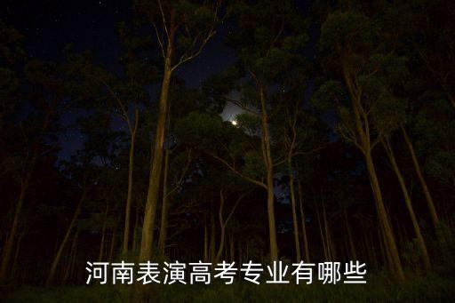 河南表演高考专业有哪些