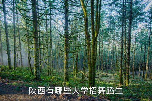 陕西舞蹈艺术生可以报考哪些大学，陕西有哪些大学招舞蹈生