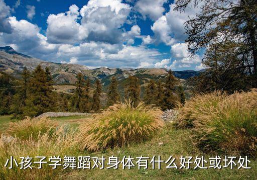 孩子学舞蹈有什么好处，为什么家长都让孩子学舞蹈