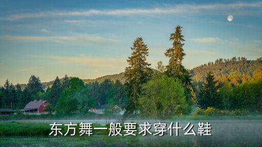 东方舞一般要求穿什么鞋