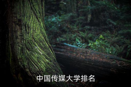 中国传媒大学2 2，请问中国传媒大学是学什么专业的