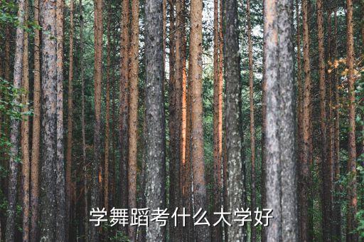 舞蹈类艺术生可以考的大学排名，舞蹈专业考什么学校