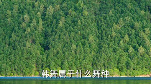 韩舞属于什么舞种