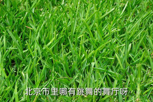 北京市里哪有跳舞的舞厅呀