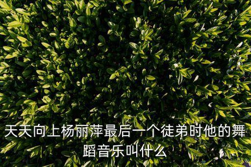 天天向上杨丽萍最后一个徒弟时他的舞蹈音乐叫什么