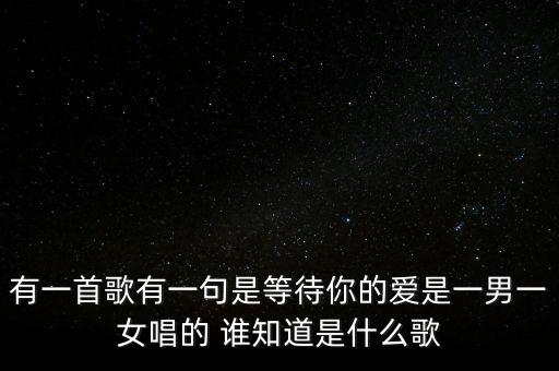 有一首歌有一句是等待你的爱是一男一女唱的 谁知道是什么歌