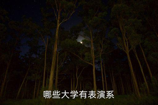 哪些大学有表演系