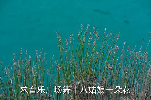 求音乐广场舞十八姑娘一朵花