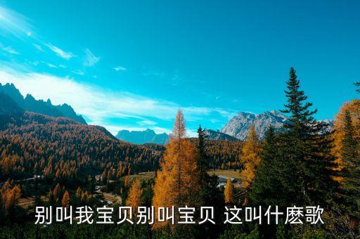 别叫我宝贝别叫宝贝 这叫什麽歌