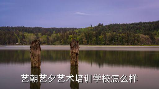 艺朝艺夕艺术培训学校怎么样，艺朝艺夕艺术培训学校怎么样