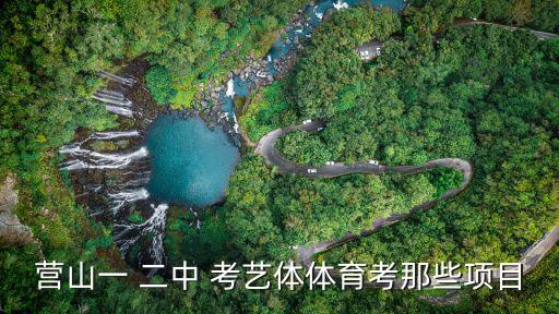 营山一 二中 考艺体体育考那些项目