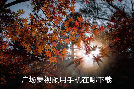 从哪里下广场舞，哪里哪下载广场舞曲