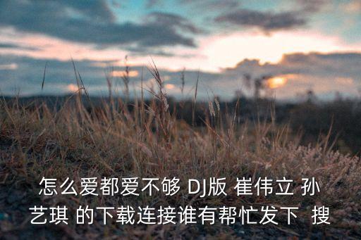 怎么爱都爱不够 DJ版 崔伟立 孙艺琪 的下载连接谁有帮忙发下  搜