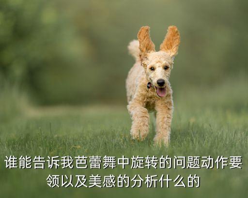 谁能告诉我芭蕾舞中旋转的问题动作要领以及美感的分析什么的