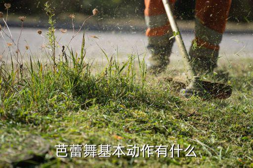 舞蹈动作有哪些，舞蹈最基本的动作有哪些