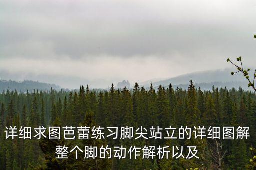 详细求图芭蕾练习脚尖站立的详细图解整个脚的动作解析以及