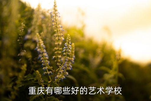 重庆有哪些好的艺术学校