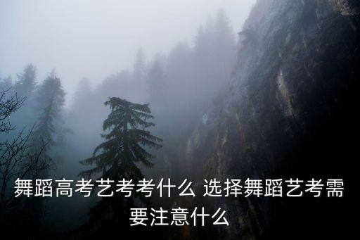 舞蹈艺考怎么选专业，舞蹈生考研都有哪些专业