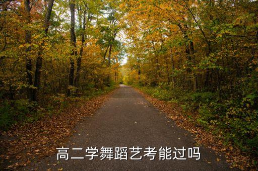 高二学舞蹈艺考能过吗