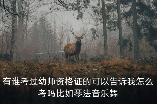 有谁考过幼师资格证的可以告诉我怎么考吗比如琴法音乐舞