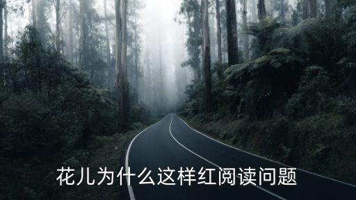 花儿为什么这样红阅读问题