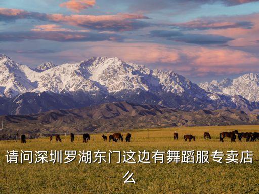 请问深圳罗湖东门这边有舞蹈服专卖店么