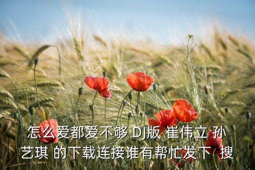 怎么爱都爱不够 DJ版 崔伟立 孙艺琪 的下载连接谁有帮忙发下  搜