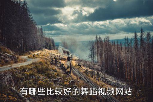 有哪些儿童舞蹈 视频网站，有哪些比较好的舞蹈视频网站