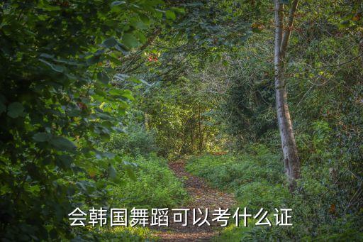 会韩国舞蹈可以考什么证