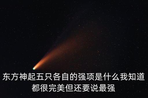 东方神起五只各自的强项是什么我知道都很完美但还要说最强