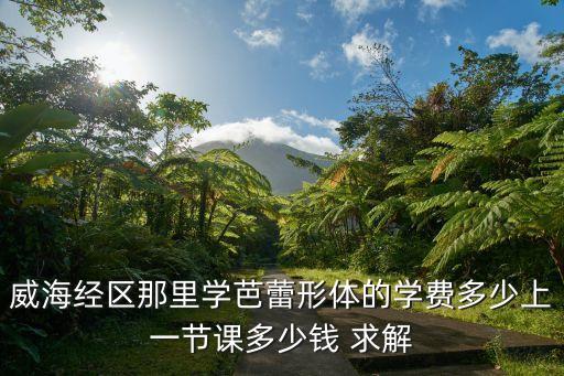 威海经区那里学芭蕾形体的学费多少上一节课多少钱 求解