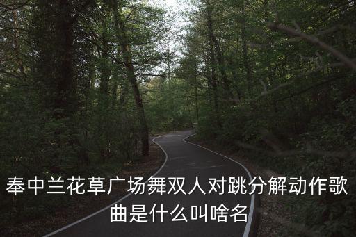双人广场舞花什么什么，怎么在双人舞里的桃心和玫瑰