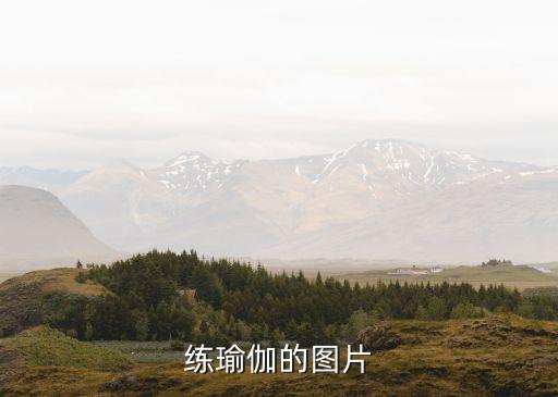 练瑜伽的图片
