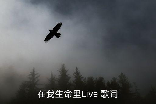 在我生命里Live 歌词