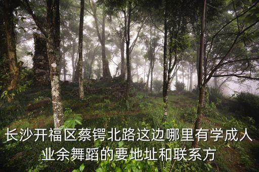 长沙开福区蔡锷北路这边哪里有学成人业余舞蹈的要地址和联系方