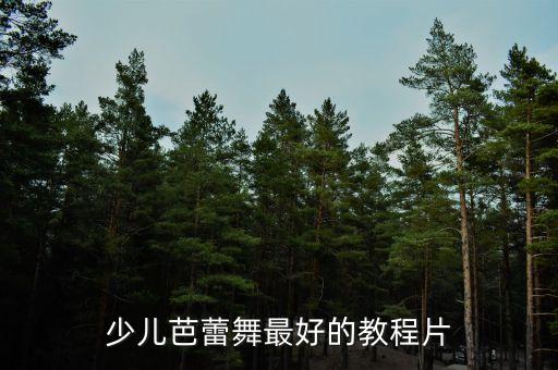 少儿芭蕾舞最好的教程片