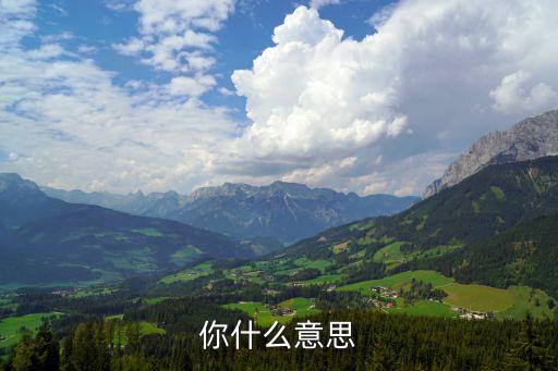 糖豆广场舞你怎么说，你什么意思