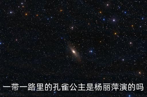一带一路里的孔雀公主是杨丽萍演的吗