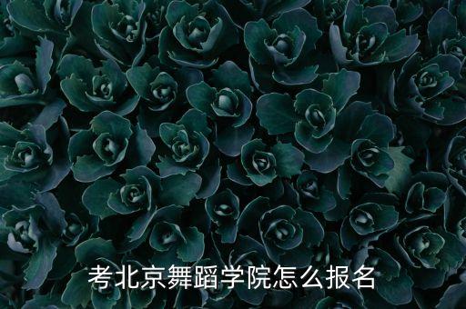 考北京舞蹈学院怎么报名