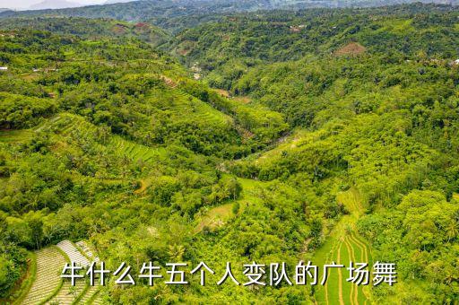 牛什么牛五个人变队的广场舞