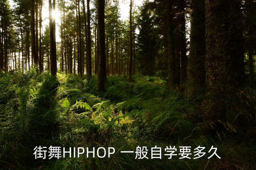 街舞HIPHOP 一般自学要多久