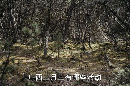广西三月三有哪些活动