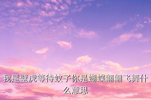 我是壁虎等待蚊子你是蝴蝶翩翩飞舞什么意思