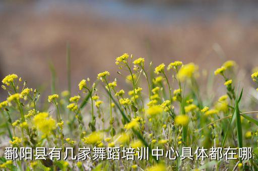 鄱阳学跳舞哪里有，江西鄱阳有街舞团吗