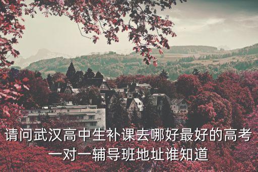 请问武汉高中生补课去哪好最好的高考一对一辅导班地址谁知道