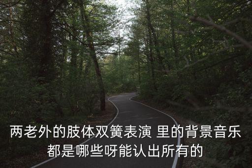 两老外的肢体双簧表演 里的背景音乐都是哪些呀能认出所有的