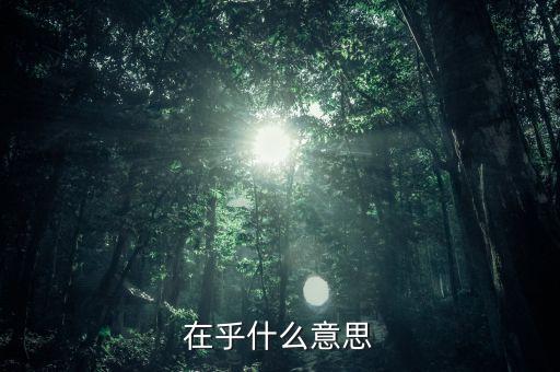 在乎什么意思